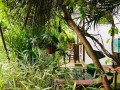 green-jade-inn-in-mirissa-small-0