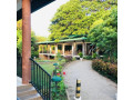 grand-and-gangula-resort-small-0