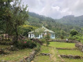 haldummulla-estate-bungalow-small-2