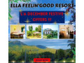 feelingood-resort-ella-small-0