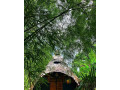 igabara-hobbit-house-small-1